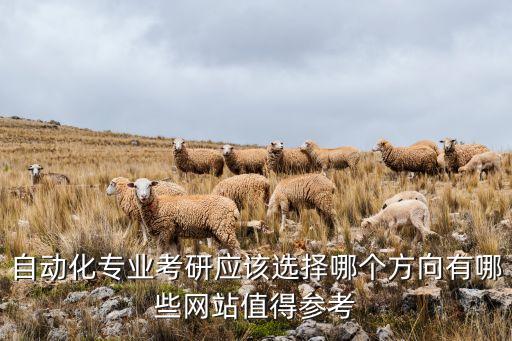 自動化專業(yè)考研應(yīng)該選擇哪個方向有哪些網(wǎng)站值得參考