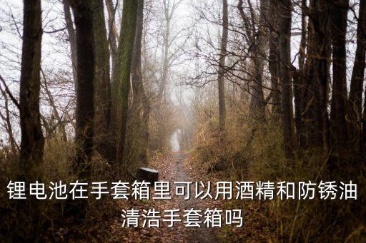 鋰電池在手套箱里可以用酒精和防銹油清浩手套箱嗎