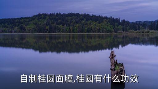 自制桂圓面膜,桂圓有什么功效