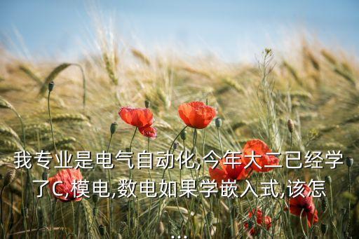 電氣自動化有嵌入式嗎知乎,電氣自動化和嵌入式有何不同?