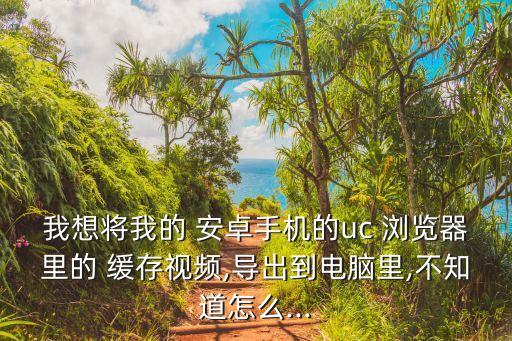 安卓瀏覽器緩存數(shù)據(jù),安卓能夠直接緩存視頻的瀏覽器