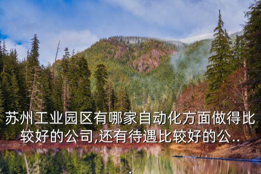 蘇州工業(yè)園區(qū)有哪家自動(dòng)化方面做得比較好的公司,還有待遇比較好的公...