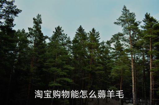 網(wǎng)上購(gòu)物資訊,一文看懂!網(wǎng)上購(gòu)物需要注意什么?