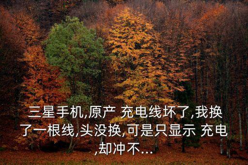 三星非原裝數(shù)據(jù)線充電,三星nx1000可以用數(shù)據(jù)線充電嗎