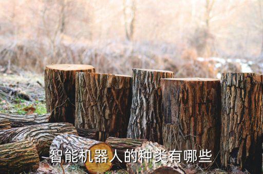 智能機(jī)器人u,智能機(jī)器人是什么?