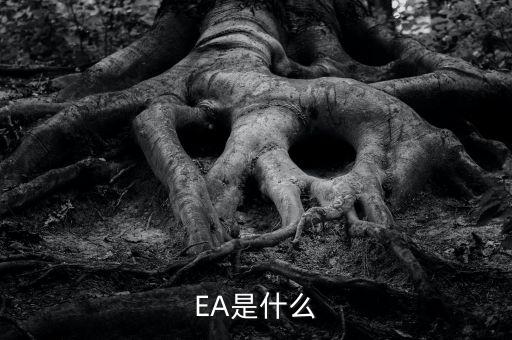 EA是什么