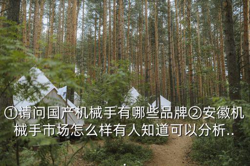 ①請問國產(chǎn)機械手有哪些品牌②安徽機械手市場怎么樣有人知道可以分析...