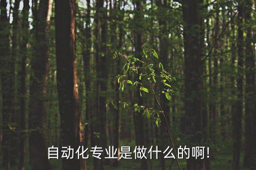 工業(yè)發(fā)展自動(dòng)化專業(yè)學(xué)什么,自動(dòng)化專業(yè)是學(xué)什么?