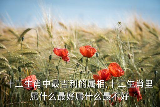十二生肖中最吉利的屬相,十二生肖里屬什么最好屬什么最不好