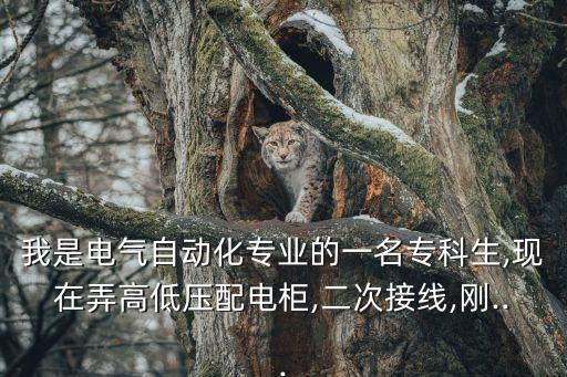 我是電氣自動(dòng)化專業(yè)的一名?？粕?現(xiàn)在弄高低壓配電柜,二次接線,剛...