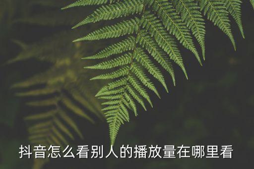 抖音怎么看別人的播放量在哪里看