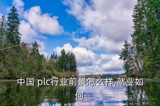 中國 plc行業(yè)前景怎么樣,就業(yè)如何