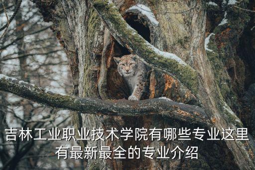 機(jī)械制造及自動(dòng)化專(zhuān)業(yè)吉林省,考試科目及難度