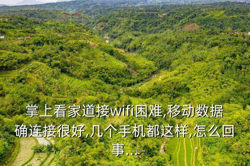 掌上看家道接wifi困難,移動數(shù)據(jù)確連接很好,幾個手機(jī)都這樣,怎么回事...