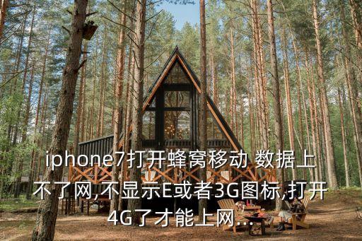 iphone7打開(kāi)蜂窩移動(dòng) 數(shù)據(jù)上不了網(wǎng),不顯示E或者3G圖標(biāo),打開(kāi)4G了才能上網(wǎng)...