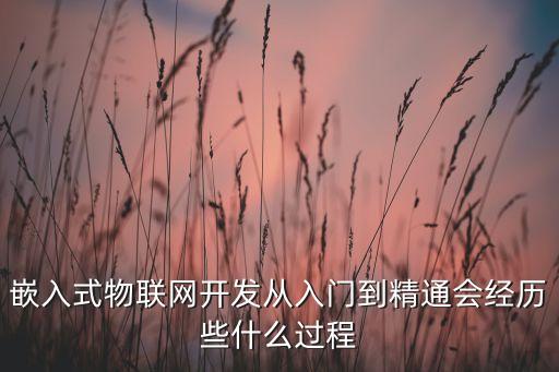 嵌入式物聯(lián)網(wǎng)開發(fā)從入門到精通會經(jīng)歷些什么過程