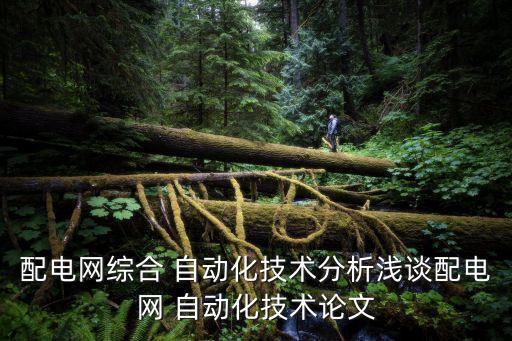 配電網(wǎng)綜合 自動化技術(shù)分析淺談配電網(wǎng) 自動化技術(shù)論文