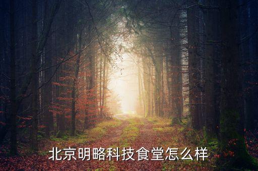 合肥明略大數據公司,北京明略科技公司是大公司嗎?