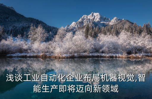 紹興非標(biāo)自動化檢測設(shè)備,非標(biāo)自動化設(shè)備有哪些?