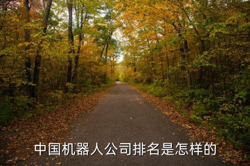 中國機器人公司排名是怎樣的