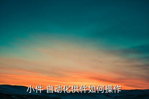 小件 自動(dòng)化供件如何操作
