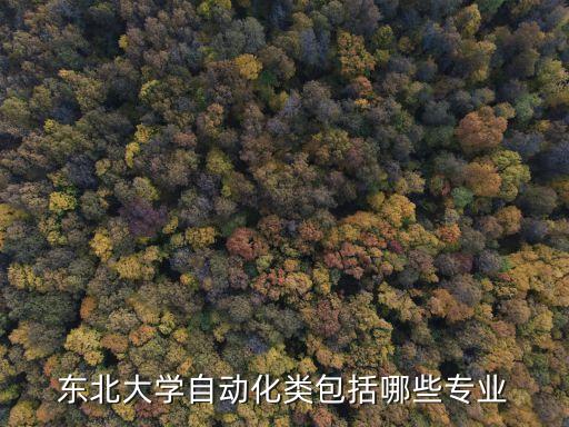 東北大學(xué)自動化類包括哪些專業(yè)