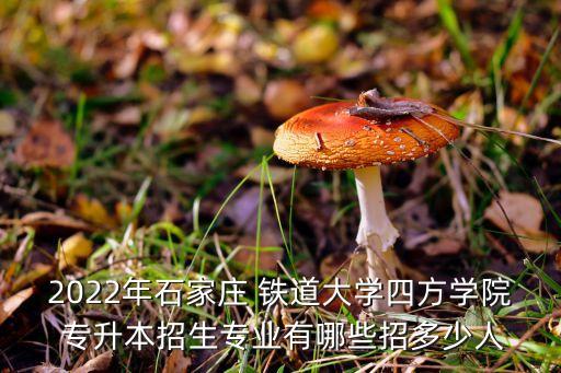 2022年石家莊 鐵道大學(xué)四方學(xué)院 專升本招生專業(yè)有哪些招多少人