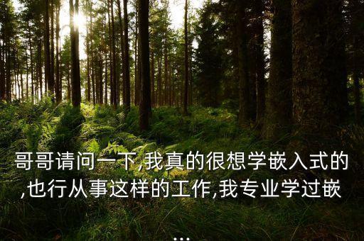 哥哥請問一下,我真的很想學嵌入式的,也行從事這樣的工作,我專業(yè)學過嵌...