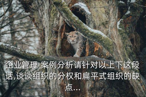 公司決策案例 帶數(shù)據(jù)庫