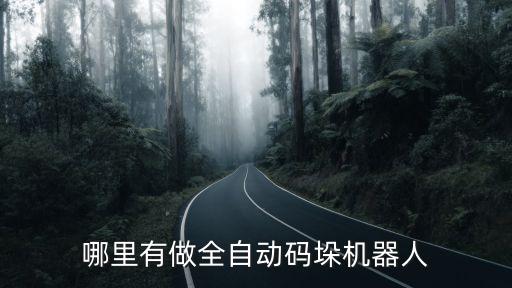 哪里有做全自動碼垛機器人
