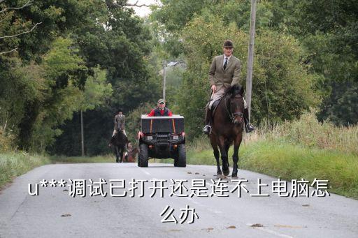 usb數(shù)據(jù)線連接不到主機(jī),電腦主機(jī)可以用usb連接顯示器嗎?