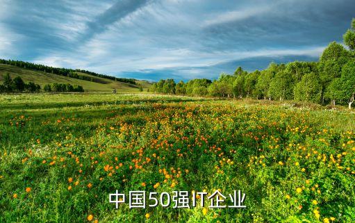 自動(dòng)化企業(yè)大公司排名,清華大學(xué)自動(dòng)化系在全國排名第七名
