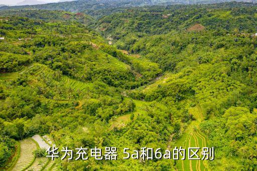 華為 5a 數(shù)據(jù)線 拆,華為22.5w用3A還是5A數(shù)據(jù)線