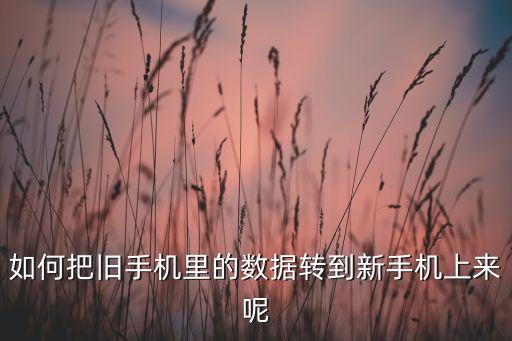 如何把舊手機里的數(shù)據(jù)轉(zhuǎn)到新手機上來呢