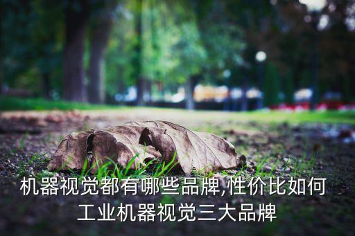 永康工業(yè)自動(dòng)化的公司,KEBA工業(yè)自動(dòng)化公司
