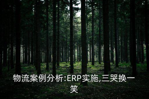 物流案例分析:ERP實(shí)施,三哭換一笑
