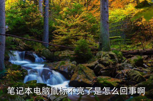 筆記本電腦鼠標(biāo)不亮了是怎么回事啊