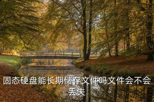 固態(tài)硬盤數(shù)據(jù)安全嗎,固態(tài)硬盤和機(jī)械硬盤哪個保存數(shù)據(jù)安全?