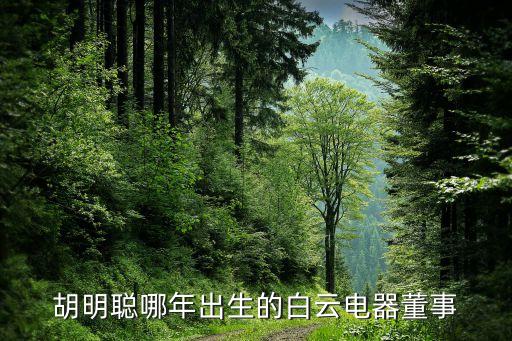 胡明聰哪年出生的白云電器董事