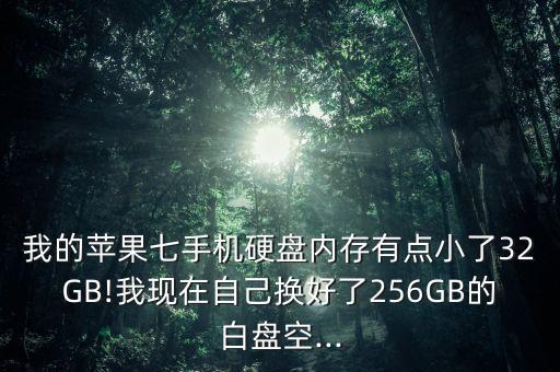 我的蘋果七手機(jī)硬盤內(nèi)存有點(diǎn)小了32GB!我現(xiàn)在自己換好了256GB的白盤空...