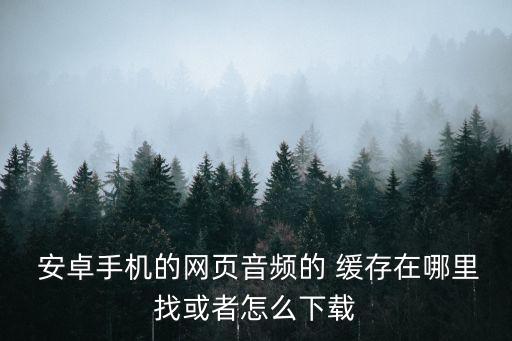  安卓手機(jī)的網(wǎng)頁(yè)音頻的 緩存在哪里找或者怎么下載