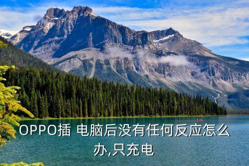 OPPO插 電腦后沒有任何反應怎么辦,只充電