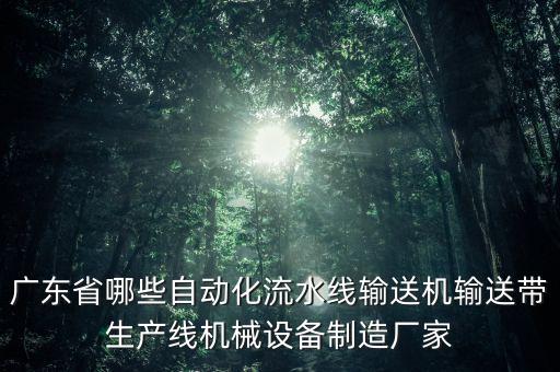 廣東省哪些自動(dòng)化流水線輸送機(jī)輸送帶生產(chǎn)線機(jī)械設(shè)備制造廠家