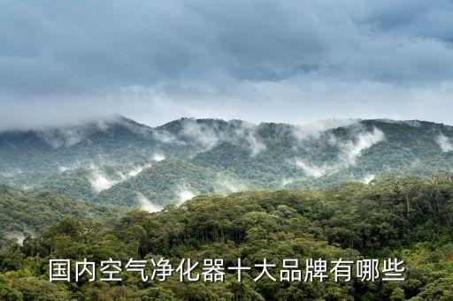 國內空氣凈化器十大品牌有哪些
