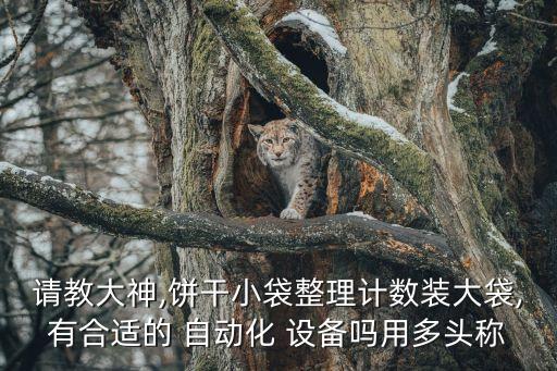 關(guān)于稱(chēng)重自動(dòng)化設(shè)備視頻,沖壓自動(dòng)化設(shè)備視頻大全