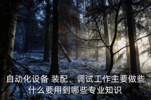 自動化設(shè)備 裝配、調(diào)試工作主要做些什么要用到哪些專業(yè)知識