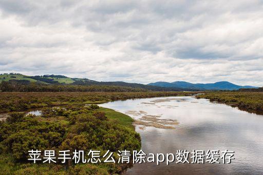 蘋果手機(jī)怎么清除app數(shù)據(jù)緩存