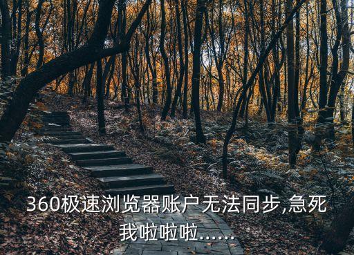 360極速瀏覽器賬戶無法同步,急死我啦啦啦……