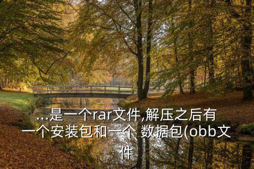 ...是一個(gè)rar文件,解壓之后有一個(gè)安裝包和一個(gè) 數(shù)據(jù)包(obb文件