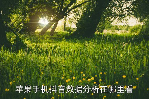 抖音剛出現(xiàn)時(shí)使用者數(shù)據(jù),如何查看抖音賬號(hào)數(shù)據(jù)?